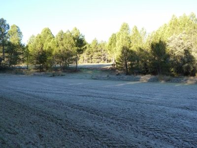 Poza del Obispo - imagen 7