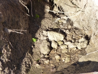Fuente de los Pozos - imagen 5