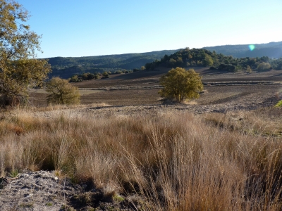 Fuente de los Pozos - imagen 8