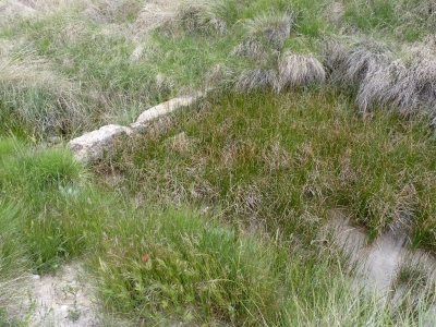 Fuente del Puerco I - imagen 1