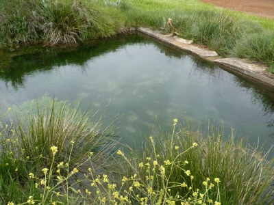Fuente del Royo del Piojo - imagen 2
