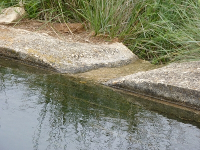Fuente del Royo del Piojo - imagen 4