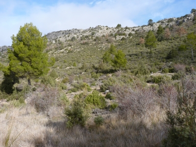 Fuente de la solana de la Hoja de Arriba - imagen 2