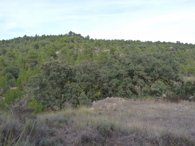 Fuente de la Toba - imagen 3
