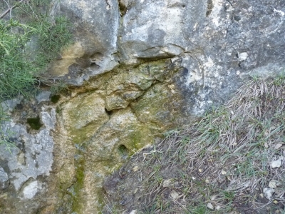 Fuente del Vallejo del Abento - imagen 1