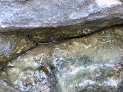 Fuente del Vallejo del Abento - imagen 3