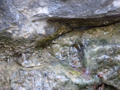 Fuente del Vallejo del Abento - imagen 4
