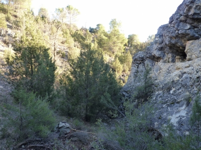 Fuente del Vallejo del Abento - imagen 5