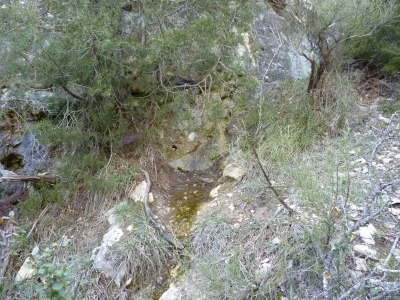 Fuente del Vallejo del Abento - imagen 6