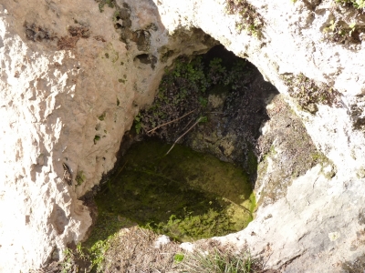 Fuente del Vallejo Oscuro - imagen 2