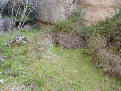 Fuente del Vallejo Oscuro - imagen 4