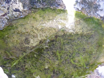 Fuente del Vallejo Oscuro - imagen 6