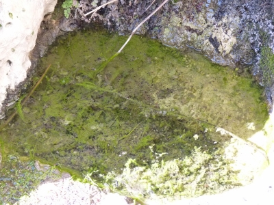 Fuente del Vallejo Oscuro - imagen 7