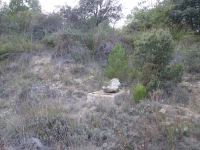 Fuente de la Zarza III - imagen 1