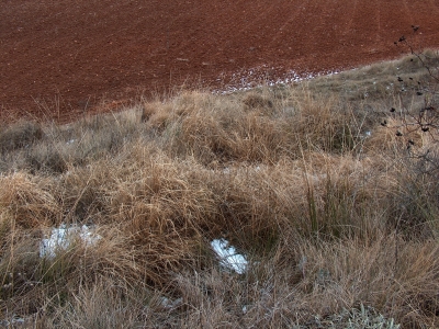 Fuente de las Zopeteras del Bodejón - imagen 2