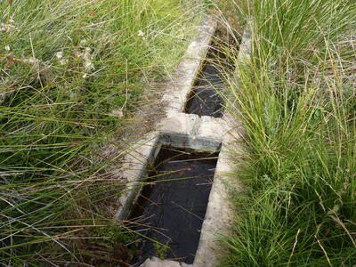 Fuente del Chorrillo - imagen 6