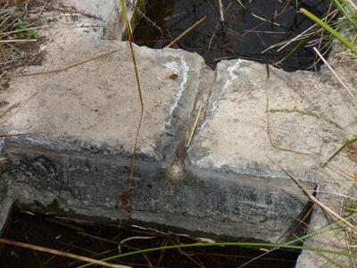 Fuente del Chorrillo - imagen 7