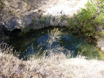 La Noria del Tío Campano - imagen 2