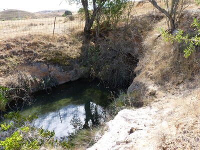 La Noria del Tío Campano - imagen 5