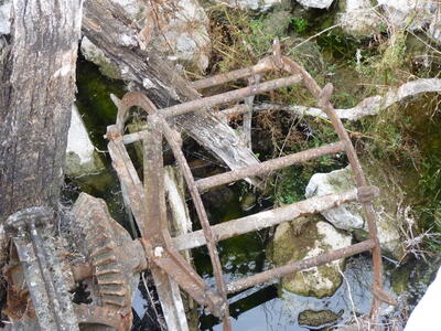La Noria - imagen 3