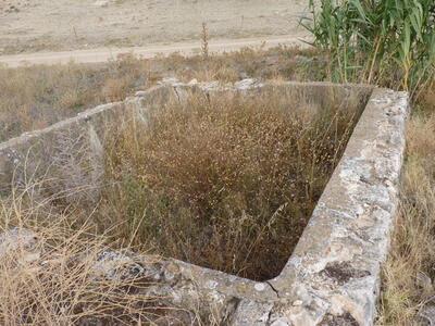 La Noria - imagen 7