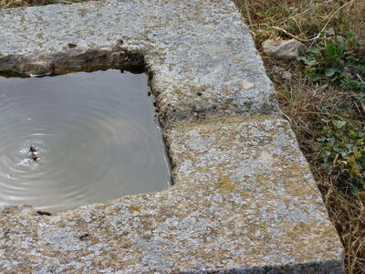Pozo las Viñas - imagen 4