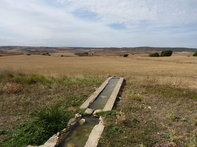 Pozo las Viñas - imagen 8