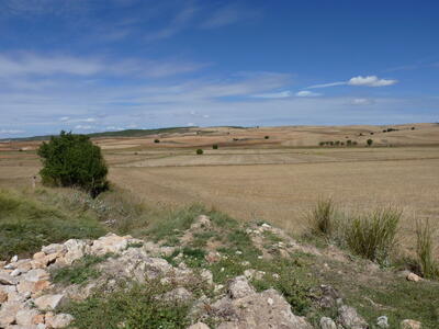 Los Tornajos - imagen 10