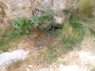 Fuente el Viso - imagen 1