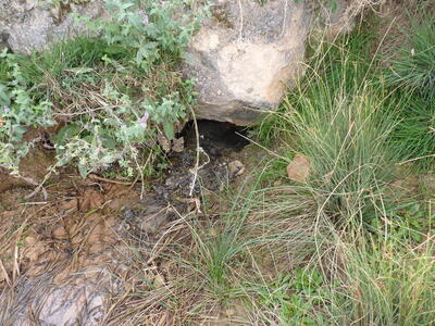 Fuente el Viso - imagen 2