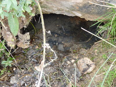 Fuente el Viso - imagen 3