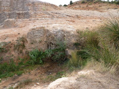 Fuente el Viso - imagen 7