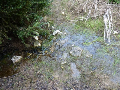 Fuente del Tío Chelvano - imagen 3