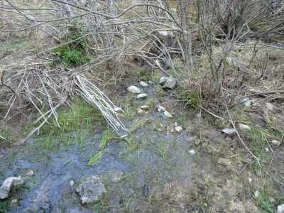 Fuente del Tío Chelvano - imagen 4