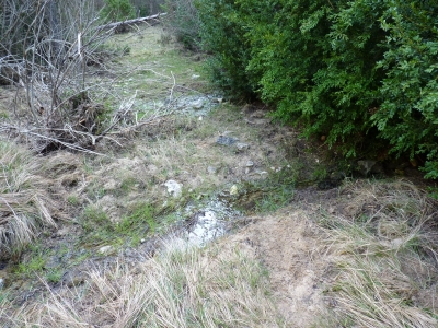 Fuente del Tío Chelvano - imagen 6