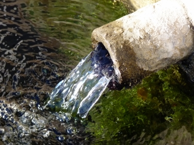 Fuente de Abajo - imagen 4