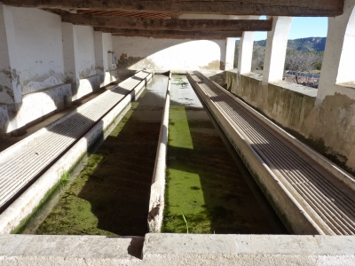 Fuente de Abajo - imagen 7