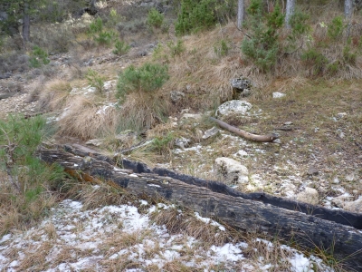 Fuente del Cura - imagen 1