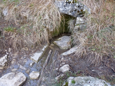 Fuente del Cura - imagen 5