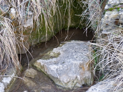 Fuente del Cura - imagen 7