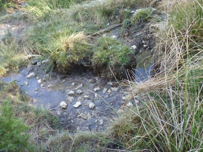 Fuente del Enebro - imagen 2