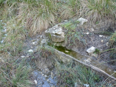 Fuente del Enebro - imagen 4