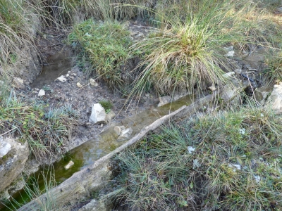 Fuente del Enebro - imagen 5