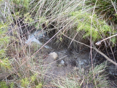 Fuente Illera - imagen 2