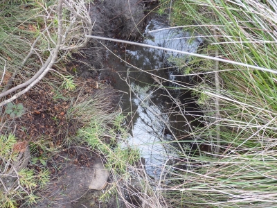 Fuente Illera - imagen 3