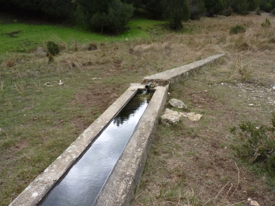 Fuente de Pedro Navélez - imagen 1