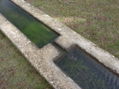 Fuente de Pedro Navélez - imagen 7