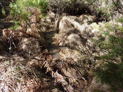 Fuente los Brosquilejos - imagen 3