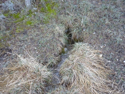 Fuente de la Canaleja - imagen 2