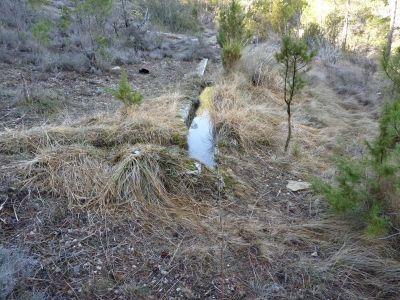 Fuente de la Canaleja - imagen 3